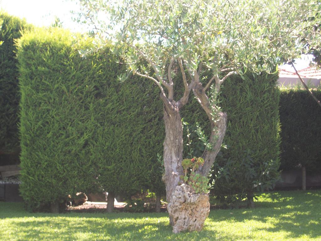 Etma Bed & Breakfast SantʼAlfio Eksteriør bilde